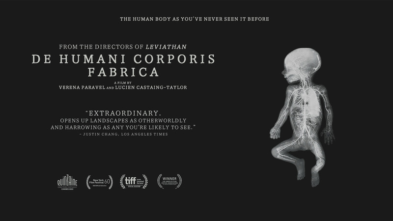 De Humani Corporis Fabrica