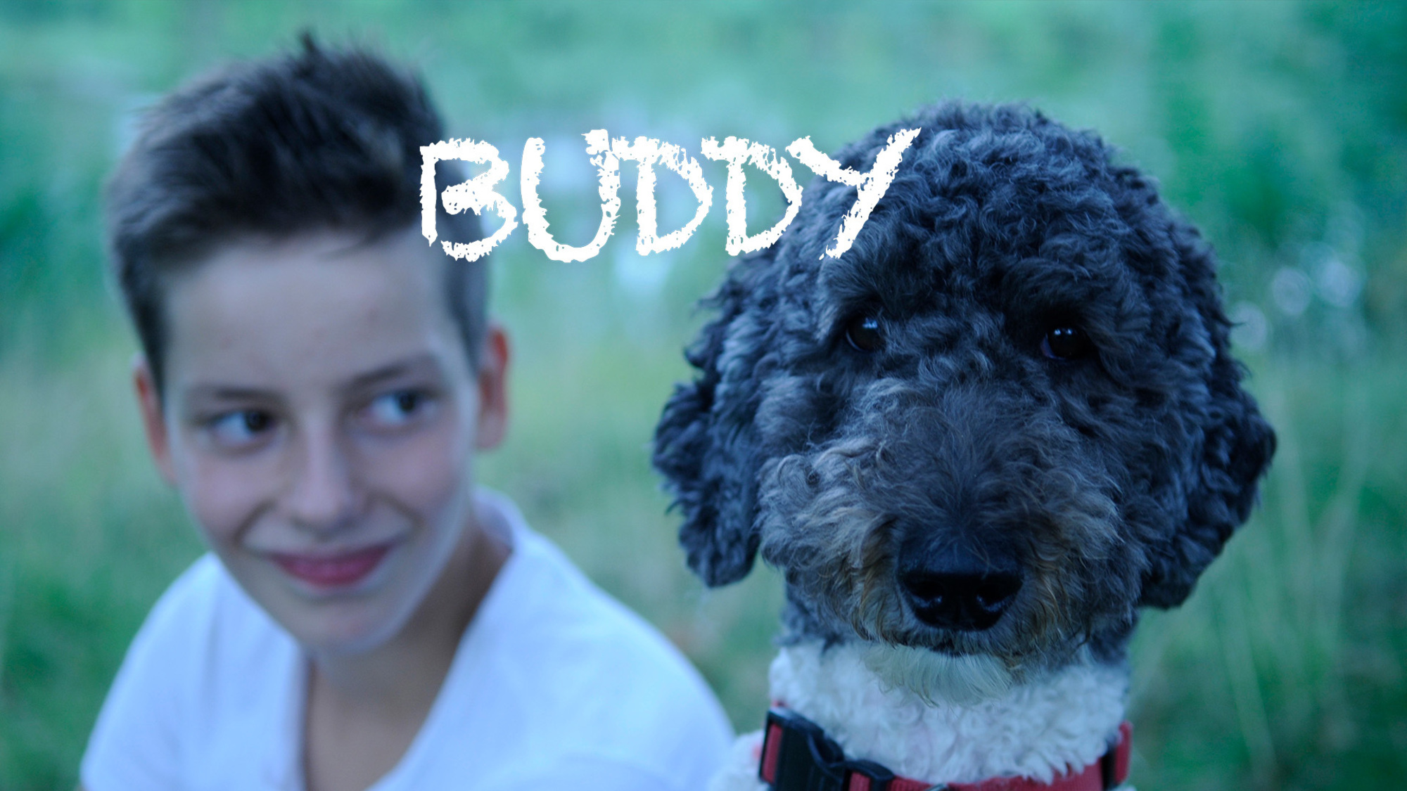 Buddy